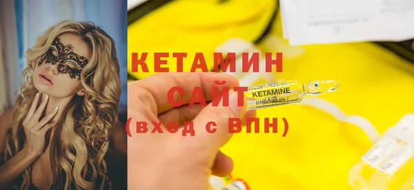 прущие грибы Новодвинск
