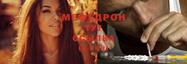 прущие грибы Новодвинск