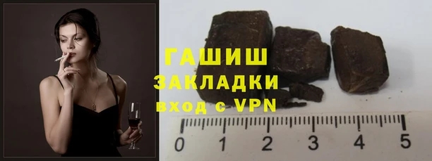 прущие грибы Новодвинск