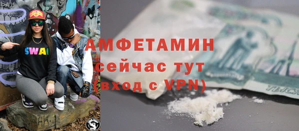 прущие грибы Новодвинск